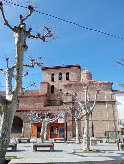 The image presents a forensic view of a public square in Piedrahíta, Spain, dominated by a large stone ecclesiastical structure under a clear, bright blue sky. The primary building, likely a church, is constructed from light brown sandstone blocks with a terracotta tile roof. It features a prominent bell tower on the left with three arched belfry openings, two of which contain bells. To the right of the tower, a circular dome with a small finial is visible. A substantial bird's nest, consistent with a stork's nest, rests on the roof of the bell tower, near a thin metal antenna or lightning rod.
The foreground is a paved plaza composed of uniform grey square tiles. Numerous pollarded trees, characterized by their light grey, mottled bark and bare, knotty branches, are distributed across the plaza, casting distinct shadows. Several stone benches with dark, ornate metal backrests are situated on the paved surface. Two black, decorative streetlights stand among the trees. To the left, an arched entrance or passage is integrated into the stone building. A structure with a reddish-brown brick facade and dark wooden doors is partially visible behind the trees in the middle ground, while a section of a white building with a small balcony and a green metal fence appears on the far right. A single dark, thin cable traverses horizontally across the upper portion of the sky. The scene is devoid of human figures or discernible activity.
