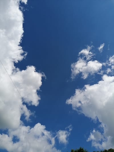 The image shows a bright blue sky with scattered white cumulus clouds. A thin black wire, possibly a power line, runs diagonally from the upper left to the lower right of the frame. The bottom edge of the image shows the tops of dark green trees. The scene is consistent with an outdoor environment, possibly a park or a residential area, in Chernyakhovsk, Russia, under clear weather conditions. No people or specific objects beyond the wire and trees are visible.