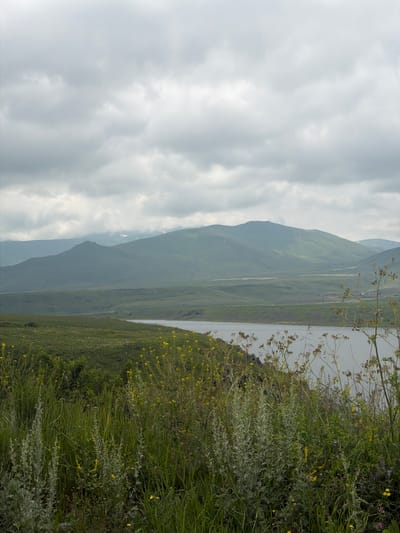 An overcast sky looms over a vast, green landscape. In the foreground, tall grasses and wildflowers, predominantly yellow, grow densely. A body of water, possibly a reservoir, stretches across the middle ground, reflecting the muted light. Beyond the water, rolling hills and distant mountains dominate the horizon, their peaks shrouded in a soft haze. The scene appears to be a natural landscape, possibly a rural area near Gorayk, Armenia, with no human presence or activity immediately evident. The overall mood is serene and natural, with the cloudy sky suggesting cooler weather.