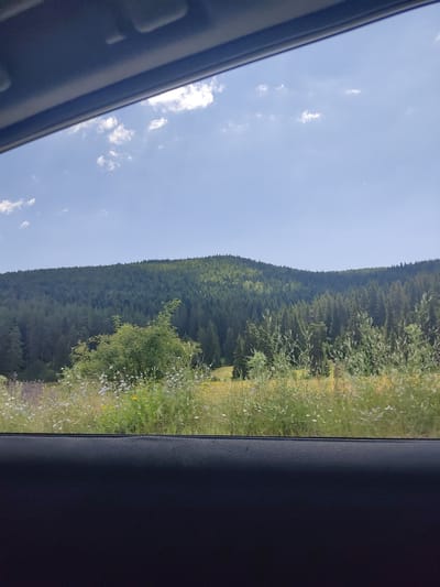 The image, taken from inside a vehicle looking out, depicts a scenic view of a hillside covered in dense evergreen forest under a bright blue sky with scattered white clouds. The foreground features a meadow filled with various wildflowers, including white and yellow blossoms, with some taller green foliage and grasses. The horizon is defined by the undulating line of the tree line against the sky. The lower portion of the image is dominated by the dark interior of the vehicle, specifically the textured surface of what appears to be a car door or dashboard. The overall impression is a natural, verdant landscape seen during daytime travel. The location is identified as Yundola, Bulgaria, suggesting a mountainous or hilly rural setting.