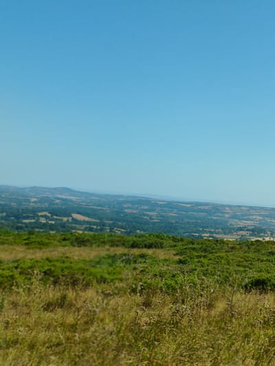 The image shows a wide, panoramic view of a rural landscape under a clear blue sky. In the foreground, there is a dense growth of green vegetation, including grasses and possibly ferns, with some patches of drier, golden-brown grasses and some scattered wildflowers. This vegetation forms a gently sloping hillside.
Beyond the immediate foreground, the landscape unfolds into rolling hills and valleys. A dense, dark green forest covers a significant portion of the middle ground, interspersed with lighter green fields and what appear to be cultivated plots or meadows. The fields are in various shades of green and brown, suggesting different types of vegetation or agricultural use.
In the distance, the landscape becomes softer and more muted due to atmospheric perspective. Hazy, lighter blue hills are visible, forming the horizon. The overall impression is one of a serene, natural environment with agricultural land shaping the terrain. There are no people, buildings, or vehicles visible in the image. The location is identified as Cleehill, United Kingdom, which is known for its rolling hills and countryside.
