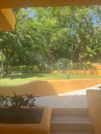A bright outdoor scene shows a lush green lawn with trees. A sprinkler is watering the grass. The view is framed by yellow walls. To the right are white steps and a planter with dark green foliage. Sunshine casts shadows across the scene.