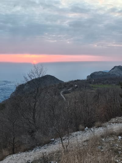 The image depicts a mountainous landscape at either sunrise or sunset, specifically in Mali Mikulići, Montenegro. The sky comprises grey and white clouds transitioning to a prominent horizontal band of vibrant pink and orange at the horizon, where the sun, a bright orange disc, is partially visible. Below the colorful sky, a hazy, light blue-grey expanse suggests a distant body of water or flat terrain.
In the foreground, a dry, rocky slope is visible, covered with sparse brown grass and small grey stones. No human figures are present. The midground features several dark, deciduous trees with bare branches, indicative of winter or early spring. A narrow, unpaved dirt road or track winds through this forested area. To the left, a steep, dark mountain slope rises, partially obscuring a distant view of what appears to be a town or city with numerous buildings in the lower left quadrant. To the right, beyond the winding road, a patch of green vegetation stands out against the generally subdued tones of the environment. Rocky outcrops are visible on various slopes. The overall environment is rugged and natural, with no discernible human activity other than the implied road and distant settlement.