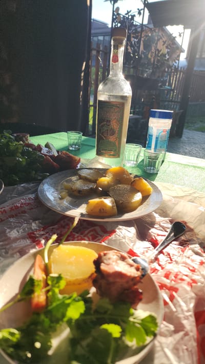The image shows a table set with food and drinks in what appears to be an outdoor setting. There is a bottle of "Sibirskaja Orthodox" vodka, along with glasses and a bottle of water. Two plates are visible, one containing potatoes and another with meat, potatoes, tomatoes, and parsley. The table is covered with a green cloth and a red-and-white patterned material. The background reveals foliage and a fence, suggesting the location is a garden or patio. The city location of Рыбхоз, Russia is provided.