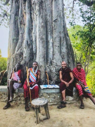 The image portrays four adult males, likely Maasai, seated on a low, weathered stone structure at the base of a massive baobab tree in the city of Dodoma, Tanzania. The tree's trunk is grey and heavily grooved, dominating the background. From left to right: The first man wears a patterned pink and white shuka over a darker garment; the second wears a colorful beaded chest ornament over striped fabric and a red and black plaid shuka, holding a wooden staff; the third, bald, wears a plain reddish-brown robe, smiling with hands clasped; and the fourth wears a red and black plaid shuka. Between the second and third men, on the stone structure, rests a Mancala-style game board with blue and white pieces, accompanied by two small wooden staffs. A rustic wooden stool, crafted from a tree trunk segment, is positioned on the sandy ground in the foreground. Lush green foliage is visible behind and to the right of the baobab tree.