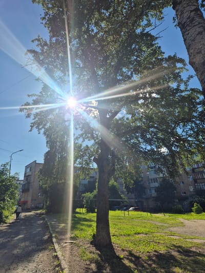 The image captures a sun-drenched street scene in Petrozavodsk, Russia, under a clear blue sky. The sun's intense rays create a starburst effect as they stream through the leaves of a large tree positioned centrally in the frame. To the left of the tree, a paved pathway runs alongside a grassy area and a row of brick apartment buildings. A solitary figure, appearing to be a woman in a light-colored jacket and dark pants, walks away from the camera down the pathway, carrying two white bags. The buildings appear to be typical of Soviet-era architecture, with multiple stories and balconies. A lamppost stands near the buildings on the left. The ground is a mix of gravel and dirt. Shadows are cast by the trees and buildings, indicating the time of day is likely late morning or early afternoon.