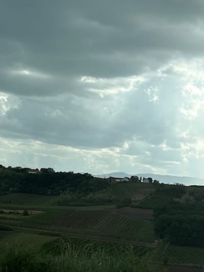The image depicts a landscape in the Topola Municipality, Serbia. The sky is overcast with thick, layered clouds. On the right side of the image is a hillside covered in dense vegetation, with cultivated fields running down the slope. Several buildings are visible among the trees.