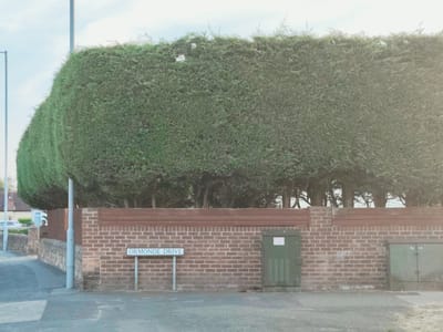 The image depicts a street scene in Maghull, United Kingdom. In the foreground, a gray asphalt pavement is visible, with a light gray concrete slab on the left. A low stone wall topped with a wooden fence separates the pavement from a property. A tall, light gray lamppost stands to the left of the frame. Further into the scene, a prominent brick wall runs horizontally, painted in shades of red and brown. Mounted on this wall is a white street sign that reads "ORMONDE DRIVE". To the right of the street sign, a tall, dark green electrical cabinet is affixed to the brick wall. On the far right of the image, another similar green cabinet is present, with "34 34" visible on its surface. Behind the brick wall, a very dense, tall green hedge forms a significant barrier, obscuring much of the background. The hedge is overgrown and appears to be a conifer. The sky above is a pale blue with some faint clouds, and a bright light source, possibly the sun, is visible in the upper right corner, casting a glare over the image. Some houses with red-tiled roofs and a white car are visible behind the stone wall and hedge on the left side of the image. The overall impression is of a residential street with a well-maintained but imposing hedge and brick wall.