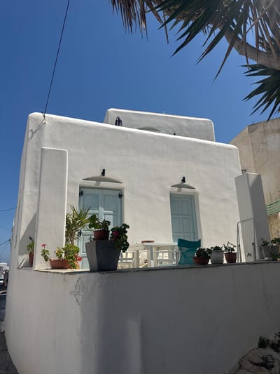 The image depicts a whitewashed building in Naousa, Greece, under a clear blue sky. The building features light blue doors with shutters and is adorned with several potted plants on a balcony or terrace. A palm tree is visible in the upper right corner, casting shadows. The architecture is characteristic of Greek island style, with smooth, curved surfaces and minimal ornamentation. The scene suggests a serene and picturesque setting, likely in a residential area or a small business. There are no people visible in the frame, and no actions or interactions are taking place. The environment is bright and sunny, with the building occupying most of the foreground.