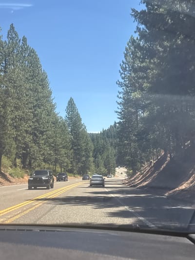 A bright, clear day in Pollock Pines, California, with a view from a vehicle traveling along Highway 50. The road is paved with double yellow lines and white dashed lines indicating lanes. Several vehicles are visible on the road, including a black SUV in the foreground, followed by other cars and SUVs at various distances. The highway is flanked by dense evergreen trees, primarily tall pine trees, lining both sides of the road. The terrain slopes upwards to the right of the road, with exposed dirt and rocks. The sky is a clear, vibrant blue. The image captures a typical scene of driving through a forested, mountainous region.