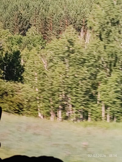 The image shows a blurred view of a wooded area with a grassy field in the foreground. The trees are a mix of coniferous and deciduous types, with the latter displaying bright green foliage. The field appears to be a meadow or pasture. A black silhouette of what appears to be a person's head and shoulder is visible in the lower left corner of the image. A date and time stamp, "02.07.2026 18:14," is present in the lower right corner. The image quality is poor, with significant motion blur, making it difficult to discern fine details. The location is stated as Novolenino, Russia.