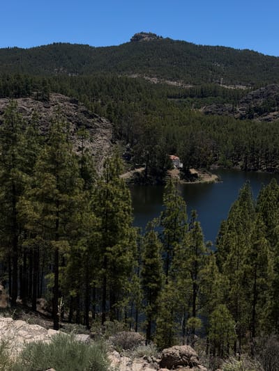 This is a landscape photograph taken in the vicinity of Tejeda, Spain, likely in the rural mountainous region surrounding the town. The image depicts a dense forest of pine trees, primarily in the foreground and midground, interspersed with rocky outcrops. A dark body of water, possibly a reservoir or lake, is visible in the midground, reflecting the surrounding greenery and sky. A small building with a red roof is situated on the edge of the water, nestled amongst the trees. In the background, a mountain range covered in a similar forest canopy dominates the horizon, with a distinct rock formation visible at its peak. The sky is clear and blue, indicating a sunny day. The foreground features sparse vegetation, including shrubs and rocks. There are no people or animals visible in the image.