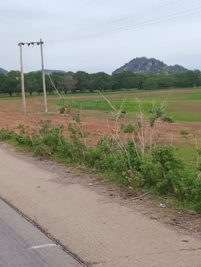 The image captures a rural landscape. In the foreground, a paved road runs diagonally from the lower left to the upper right. Along the edge of the road, there is a strip of dry grass and some green vegetation. In the middle ground, a field is visible, appearing to be partly cultivated with sections of dry soil and green crops. Several power poles with wires are positioned in the distance, suggesting the presence of infrastructure. Beyond the fields, a dense line of trees forms a backdrop. In the far distance, a rocky hill or mountain rises above the tree line. The sky is overcast, indicating a cloudy day. The overall scene depicts a serene, possibly agricultural, environment in a rural area near Barikin Sibre, Nigeria, characterized by open fields, vegetation, and distant geological features.
