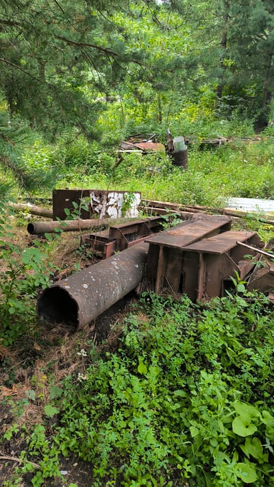 This is a vertical, eye-level, outdoor, long shot photograph taken in Turgoyak, Russia. The image depicts a collection of discarded industrial materials, including large metal pipes and I-beams, scattered amongst overgrown green vegetation and trees. The scene is situated in a wooded area, with pine trees prominently visible in the foreground and background. The metal objects are weathered and rusted, indicating they have been exposed to the elements for some time. Some of the metal pieces are partially covered by grass and leaves, suggesting a period of abandonment. The lighting appears to be natural daylight, with sunlight filtering through the trees, creating dappled shadows. No people are visible in the image.