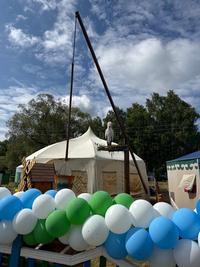 In the village of Staroye Subkhankulovo, Russia, a festive outdoor scene unfolds under a partly cloudy sky. Dominating the center is a large, white yurt-like tent, its peak reaching towards the heavens. In front of the tent, a wooden structure resembling a well or a staircase stands, adorned with a decorative bucket hanging from a metal chain. Above this, a large, white, stork-like effigy is perched on a wooden platform, its beak a vibrant red.

The scene is further enhanced by a colorful array of balloons in shades of blue, white, and green, arranged in clusters and forming a vibrant border in the foreground. These balloons are attached to a blue and white fence. In the background, lush green trees create a natural backdrop, with the faint outlines of other structures suggesting a gathering or event. The overall impression is one of a joyous celebration in a rural setting.