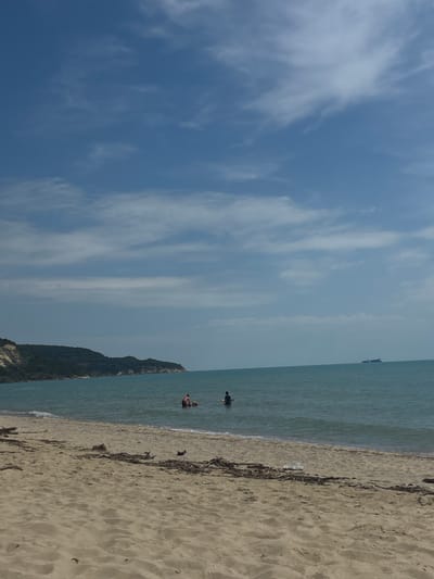 A wide-angle, eye-level shot captures a serene beach scene on a clear day. The foreground is dominated by a sandy beach littered with driftwood and debris. The mid-ground features the calm, turquoise sea with gentle waves lapping the shore. In the water, two groups of people are visible. To the left, two adults and a child are wading, and to the right, a lone individual stands in the water. In the far distance, two ships are sailing on the horizon under a partly cloudy sky. The background showcases a lush, green hillside that meets the sea. This scene is representative of the beach in Bliznatsi, Bulgaria.