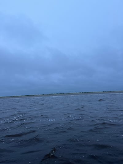 The image depicts a wide expanse of dark, choppy water under a heavily overcast sky. A thin strip of land with sparse greenery is visible in the distance, forming the horizon. The overall impression is one of a somber, possibly coastal, environment. The location is identified as Yandova Guba, Russia, suggesting a scene likely found in a northern, potentially arctic, coastal region. There are no people or identifiable man-made structures visible in the frame. The water appears to be a sea or large bay. The lighting is dim, consistent with a cloudy day or twilight.