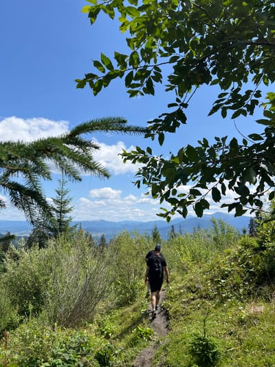 The image depicts a person walking along a dirt path in a mountainous, forested area, presumably in or near Chorna Tysa, Ukraine. The person, wearing a black t-shirt and shorts and carrying a backpack, is walking away from the camera. The path is bordered by dense green vegetation, including bushes and trees. In the background, a layered mountain range is visible under a bright blue sky with scattered white clouds. The foreground is dominated by foliage from trees, with leafy branches extending into the frame from the top and pine branches from the left. The overall scene suggests a hike in a natural, outdoor environment.
