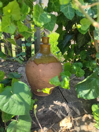An old, weathered jug with a glossy brown glaze sits on a rough-hewn wooden surface. The jug is partially obscured by vibrant green ivy leaves, which hang down from above and surround the object. In the background, a rustic wooden fence is visible, with sunlit foliage beyond it, suggesting an outdoor setting, likely in the city of Novosamarka, Ukraine. The scene is illuminated by natural sunlight, casting shadows that highlight the textures of the wood and leaves.