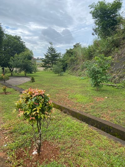 The image depicts a slightly overcast day in a park or garden area. In the foreground, a small, ornamental shrub with vibrant red and green foliage stands prominently. To the right, a concrete drainage ditch runs horizontally across the scene, bordered by a well-maintained lawn. Beyond the ditch, the ground slopes upwards, covered in lush green grass and a few small trees, including one with lighter green leaves in the middle ground.
Further back, a circular concrete patio is visible, surrounded by grass and a few scattered trees. A path made of rectangular concrete slabs leads from the foreground towards this patio. In the distance, a coniferous tree stands out against the sky, with more trees and vegetation covering the surrounding hills. Power lines are strung across the upper portion of the image, and a few buildings are faintly visible in the far distance. The overall impression is one of a tranquil, cultivated outdoor space. The location is identified as Bo Y, Vietnam.