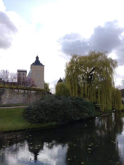 This image presents a detailed view of a section of the Steinfurt Castle complex and its surrounding moat in Burgsteinfurt, Germany. The background features a tall, light-brown stone tower with a dark, conical roof, positioned slightly left of center. To its immediate left, a taller, rectangular stone building with a flat roof is partially visible. A substantial stone wall extends from the base of these structures towards the left, topped with scattered deciduous trees exhibiting early-season pink blossoms and a line of yellow flowers. A neatly maintained grassy area with a visible path borders the wall in the left foreground.
The right side of the image is dominated by a large weeping willow tree with bright green, newly emerged foliage, its long branches cascading downwards towards the water. Below the willow and extending along the water's edge on the right, dense, dark green shrubs are visible.
A dark, reflective body of water, consistent with a moat or canal, occupies the lower half of the frame. This water reflects the castle tower, the weeping willow, and the overcast sky. Multiple dark green, disc-shaped aquatic plants, likely lily pads, float on the water's surface. Two small, dark-feathered waterfowl are observed swimming in the water near the right bank. The sky above is overcast, with a mix of diffused white and grey clouds. No human subjects are present.