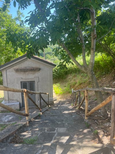 The image shows a small, grey, rectangular building with a gabled roof, possibly a chapel or mausoleum, situated on a hillside in a verdant, wooded area. A stone pathway, bordered by a rustic wooden fence, leads up to the building. The pathway is made of irregular flagstones and is partially covered in shadows from the surrounding trees. The building has a grey door with a metal grate. The environment suggests a rural or park-like setting, with dense green foliage and a clear blue sky visible. The image is taken from a slightly elevated perspective, looking down the pathway towards the building. The overall scene is one of quiet solitude and natural beauty.