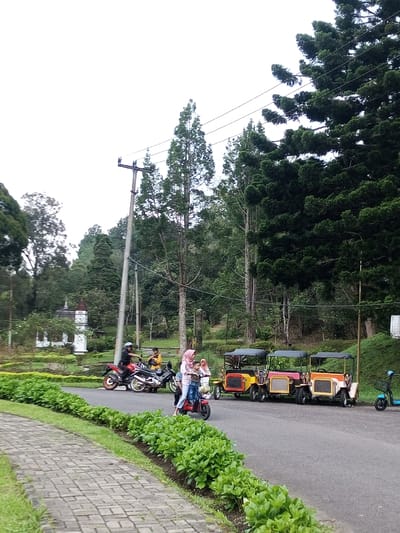 This image depicts a paved road scene in Ambositra, Madagascar, surrounded by dense vegetation and tall evergreen trees under an overcast sky.

In the foreground, a brick-patterned pathway curves along the left edge, bordered by a strip of grass and low, bright green shrubs separating it from the paved road. On the road itself, a woman in a pink hijab and light-colored clothing is riding a red electric scooter, with a child in a blue shirt standing in front of her. Two other individuals, one appearing to be a child, are visible nearby. Further back on the left, two motorbikes are present: a red and black one with a helmeted man seated on it, and a black one near which another person in a yellow shirt stands.

On the right side of the road, three vintage-style, open-top recreational vehicles, resembling small golf carts with black roofs, are parked in a row. They are colored yellow/red, pink/red, and orange/cream respectively. A blue electric scooter is also partially visible on the far right.

In the mid-ground on the left, a light-colored, miniature castle-like structure with red turrets is discernible amidst the trees. A prominent utility pole with electrical wires stands on the left-center, extending into the dense forestation that forms the background. The background is dominated by a thick canopy of tall trees and green hills.