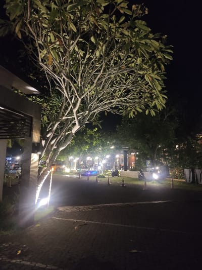 An outdoor scene at night in Gambiran, Indonesia, captures a brightly lit area with a large tree in the foreground. The tree, possibly a frangipani, features numerous bare, gnarled branches and clusters of leaves, with its canopy silhouetted against the dark night sky.
To the right of the tree, a paved path or roadway stretches into the midground, lined by several bright artificial light sources that create prominent lens flares and illuminate the surroundings. Along this path, a series of orange traffic cones are evenly spaced, marking a boundary or guiding a route.
Further in the midground and background, an outdoor commercial area, possibly a restaurant or cafe, is visible. This area is well-lit with various lights, revealing what appear to be tables and chairs, though specific details are indistinct due to the distance and lighting. Buildings and additional foliage are present in the deeper background.
No clear human figures are discernible, suggesting a quiet moment in this otherwise active-looking setting. The weather appears clear, and the overall impression is of a well-maintained and illuminated public or commercial space after dark. No distinct text is visible in the image.