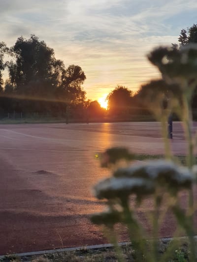 The image depicts a sunrise over a red running track in Falkensee, Germany. The sun is low on the horizon, casting a warm, golden light across the track and through the silhouette of trees. The sky is a mix of blue and wispy clouds, with a thin contrail visible in the upper left. In the foreground, out of focus, are some delicate white flowers and green foliage, suggesting a natural element bordering the track. The running track itself appears to be made of a synthetic material and has white lane markings. There is a slight unevenness or subtle texture on the surface of the track, with a small raised area visible on the left side. In the mid-ground, a chain-link fence is partially visible behind the trees. A dark vertical pole, possibly part of a light or sports fixture, stands on the right side of the track, also silhouetted against the bright sky. No people are clearly visible in the image, though a blurry figure or dark object is present in the far right mid-ground, on the track. The overall atmosphere is serene and tranquil, characteristic of an early morning in an outdoor recreational area.