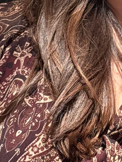 A close-up image displays a section of multi-tonal brown hair, featuring prominent lighter blonde or grey highlights intermingling with darker brown strands. The hair exhibits a natural, somewhat loose arrangement, with individual strands clearly delineated and overlapping. The hair rests against a garment constructed from dark reddish-brown fabric, which is intricately patterned with beige and cream-colored paisley and floral motifs. The fabric displays gentle folds. No facial features, actions, or external environmental context are discernible beyond the immediate proximity of the hair and clothing. The observed location is Issy-les-Moulineaux, France.