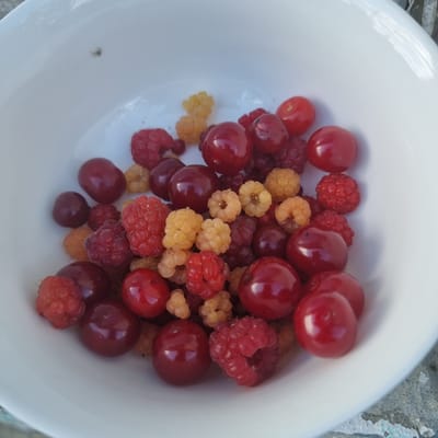 A white bowl is filled with a mixture of red raspberries, yellow raspberries, and red cherries. A small spider is visible on the inside of the bowl near the top left. The bowl is positioned outdoors, on a textured surface that appears to be concrete or stone, with some weathered discoloration. The background suggests an outdoor environment with natural light. The location is identified as Ақкемер, Kazakhstan.
