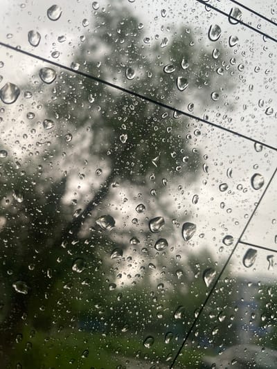 The image shows raindrops on a window, obscuring the view of trees and a cloudy sky. Several dark, thin wires or cables stretch diagonally across the frame. The reflections in the raindrops suggest an overcast day. The image does not provide any specific details that would indicate a location in Hromtau, Kazakhstan. There are no people, animals, or specific objects identifiable that would place the scene in that city.