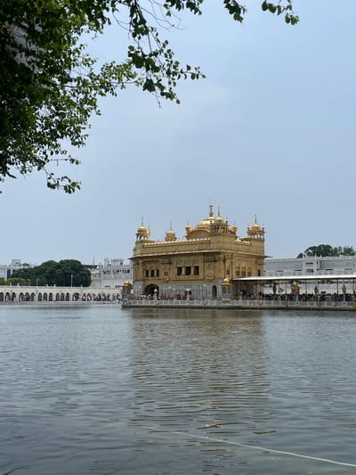 The image depicts the Golden Temple in Amritsar, India, viewed from across a body of water. In the foreground, the water is calm with ripples and reflections of the sky and the temple. The Golden Temple, a prominent Sikh Gurdwara, stands in the center of the image, its golden facade gleaming under a bright sky. The temple complex is surrounded by a walkway and an archway structure with many people visible walking along it. The background shows additional white buildings and trees, with the sky being overcast and a light grey. Lush green foliage from a tree in the upper left corner frames the scene. The overall impression is one of a serene and spiritual atmosphere, with a significant number of visitors present.