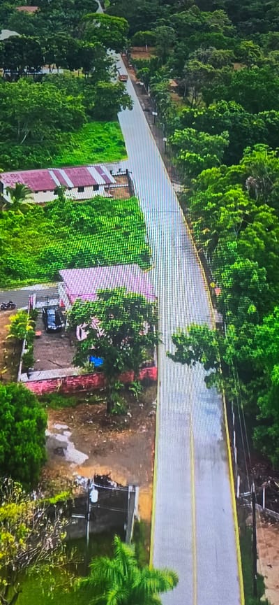 An aerial, vertical, wide shot depicts a paved road with yellow dividing lines, flanked by lush green trees and vegetation. On the left side of the road, a building with a red and white striped roof is visible, partially obscured by trees. Further down the road on the left, another building with a pink roof is seen, with a dark-colored vehicle parked in front of it. A motorcycle is also present near this building. The road itself appears wet, suggesting recent rain. The scene is located in the city of Lippstadt, Germany.