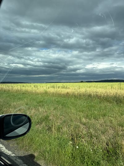 The image depicts a rural landscape, likely captured from a moving vehicle in Niederwetz, Germany. The foreground features a side-view mirror of a car on the left, reflecting the surrounding environment. Adjacent to the mirror is a grassy verge with sparse white wildflowers. Beyond the verge lies an expansive field of yellowish-green crops, possibly rapeseed or wheat, stretching towards a dark, forested horizon. The sky is heavily overcast with dramatic, dark clouds, interspersed with patches of lighter grey and hints of blue. Contrails from aircraft are visible crisscrossing the sky, as well as some circular smudges, possibly from rain on the windshield. The overall impression is of a somewhat moody, natural setting under a turbulent sky.