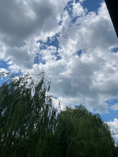 The image depicts a view of the sky with dramatic clouds and the top portion of weeping willow trees. The scene is likely outdoors, as evidenced by the natural elements. There are no people or specific structures visible that would indicate a precise location within the city of Romny, Ukraine. The focus is on the interplay of light and shadow on the clouds and the dark green foliage of the trees. The composition suggests a natural landscape or a garden setting.