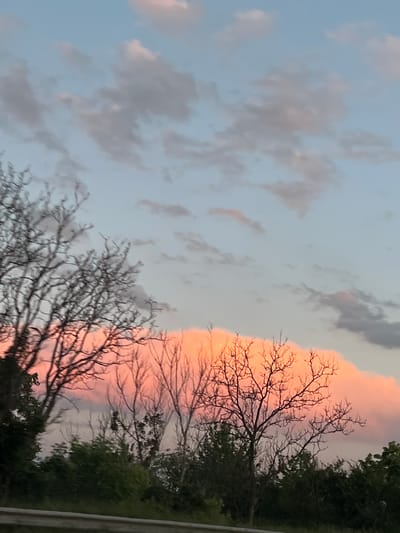 The image shows a sunset scene with a pale blue sky with scattered gray and pinkish clouds. In the foreground, silhouetted trees with bare branches are visible against the colorful sky. A large, brightly lit pink cloud dominates the lower middle portion of the image. The trees are dense and dark, with some green foliage visible at the bottom. The scene appears to be outdoors, possibly along a road or in a natural setting, and no people are present. There is a horizontal line in the lower part of the image, suggesting a boundary or a road. The image does not contain any information that would suggest its location in the city of Velyki Hai, Ukraine.