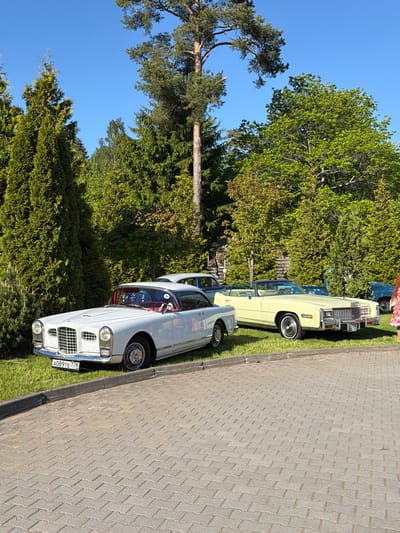 The scene depicts two classic cars parked on a grassy area adjacent to a paved walkway. The car in the foreground is a white convertible with a red interior, prominently displaying a license plate that reads "A089TE778." Behind it, partially obscured by trees, is a light yellow convertible. Lush green trees dominate the background, and a clear blue sky is visible above. The walkway is made of interlocking gray pavers. The location is Repino, Russia, as indicated by the license plate format.