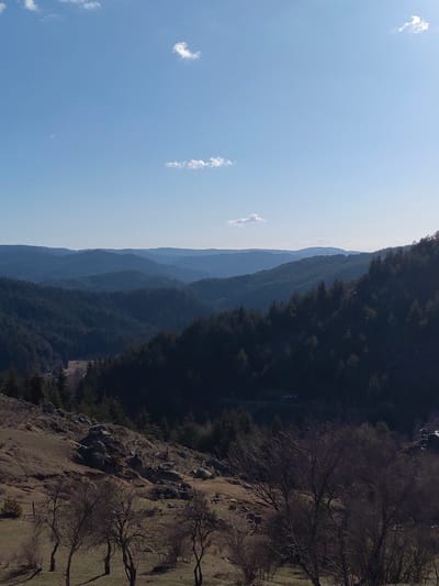 The image displays a mountainous landscape in Kasak, Bulgaria, under a clear, light-blue sky containing three small, sparse white cumulus clouds. Multiple layers of hills covered in dense, dark-green coniferous forest recede into the distance, exhibiting atmospheric perspective with increasingly muted blue tones.
In the foreground, a dry, grassy slope with patches of brown earth is visible, scattered with numerous light-gray boulders and smaller rocks. Several leafless deciduous trees with dark, slender branches are positioned across this slope. A dirt path or trail is faintly present on the far left of the foreground.
In the midground, a dark-colored road or track is visible winding along the base of the forested hillside on the right side of the frame. A light-colored vehicle, possibly white or silver, is discernibly present on this road. The sun illuminates the scene from the left, casting a portion of the right-side hills into shadow. No human figures or animals are present.