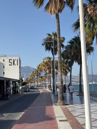 The image depicts a sunlit scene along a coastal promenade lined with palm trees. The perspective is from a slightly elevated position, looking down a long walkway with a tiled pattern and a red-colored strip. In the foreground, the trunks and fronds of several palm trees are visible, with a large white pipe running horizontally across the top of the frame.
Further down the promenade, two people are seen walking. One is wearing a white shirt and red shorts, appearing to be exercising or stretching. The other person is dressed in darker clothing. Beyond them, a long row of palm trees stretches into the distance, framing the promenade and the adjacent roadway. Cars are parked along the right side of the road, and buildings with "SKI" in large black lettering are visible on the left. Mountains form a backdrop to the scene, with a town nestled on the slopes and the sea in the distance. The sky is clear and blue, suggesting a warm, sunny day. The overall impression is one of a leisurely day in a Mediterranean coastal town.