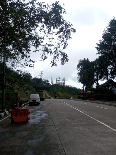 This image captures an overcast daytime scene on a paved road in Deothang, Bhutan. The concrete road surface, featuring white solid and dashed lane markings, displays scattered wet patches. In the immediate foreground on the left shoulder, an orange plastic road barrier with black chevron arrows is visible. Further along the left shoulder, a white van is parked, facing away from the viewer, followed by a partially obscured light-colored truck. A streetlight pole stands adjacent to the vehicles. The left side of the road is bordered by a concrete curb and a retaining wall, supporting a steep, forested hillside. Power transmission lines and multiple lattice towers are visible atop the distant hills. On the right side of the road, nestled among dense trees, is a dark-roofed structure with an ornate, multi-tiered roof. Another orange barrier is positioned on the right shoulder further down the road. Two small, light-colored vehicles are discernible on the main road in the far distance. The sky is uniformly overcast and grey. No individuals are visible in the frame.
