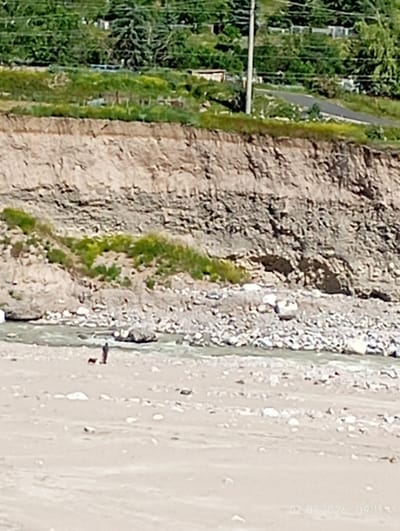 An elevated shot captures a natural landscape with a prominent sandy riverbank, a flowing river, and a steep, eroded cliff face. The cliff, composed of layered sediment, exhibits varying shades of tan and brown, with patches of sparse green vegetation clinging to its surface. At the base of the cliff, a rocky shoreline transitions into the river.
On the sandy bank in the mid-ground, a lone figure stands next to a small dog. The person is dressed in dark clothing and appears to be interacting with the dog. The sandy bank is littered with small to medium-sized white and grey rocks.
In the background, the landscape rises into a vegetated hillside with trees and greenery, suggesting a natural environment. A power pole is visible on the left side of the background, and a road can be seen winding through the hillside. The overall scene depicts a serene, natural setting, likely a recreational area. The timestamp "02.07.2026 09:11" is visible in the lower right corner.