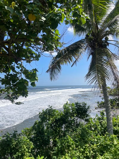 The image shows a coastal view in Selemadeg, Indonesia. The foreground is dominated by lush green foliage and a palm tree. In the midground, the ocean is visible with waves breaking on a dark, rocky shore. The background features a clear blue sky with a few scattered clouds. The scene is a natural landscape with no people or man-made structures immediately apparent.
