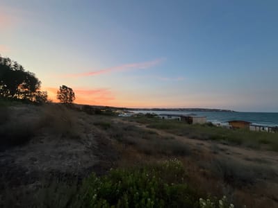 This media file depicts a serene coastal scene at dusk in Dyuni, Bulgaria. The foreground is dominated by a grassy, slightly overgrown embankment, with sparse vegetation and a few small white flowers in bloom. A solitary tree stands on the left side of the hill, silhouetted against the fading light.
Beyond the embankment, the view opens up to a beach and the sea. Several small buildings, possibly beach huts or snack bars, are scattered along the coastline, with one prominent wooden structure and a lighter-colored building to its left. Beach umbrellas are visible, suggesting it's a popular spot. The sea is calm, with gentle waves rolling towards the shore.
The sky is a gradient of soft blues and pinks, indicative of sunset. A few faint, wispy clouds are painted with pink hues, adding to the tranquil atmosphere. The overall impression is one of peacefulness and the quiet beauty of the end of the day. No people are clearly discernible in the image, and there is no visible text. The location, Dyuni, Bulgaria, points to a seaside resort known for its beaches and natural scenery.