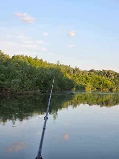 This is a vertical, medium shot of a fishing rod extending into a calm body of water. The rod is dark gray with silver accents and a thin green fishing line. The water reflects the lush green trees that line the distant bank, creating a mirror image. The sky above is a pale blue with a few wispy white clouds. The scene appears to be a natural landscape, possibly a river or lake, on the outskirts of Togashevo, Russia, during daylight. There are no people visible in the image.