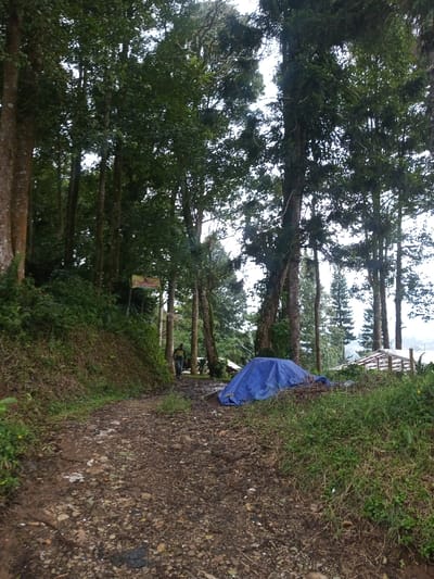 The scene depicts a forested, rural pathway in Hasanparthy mandal, India. A rocky dirt path traverses the foreground and mid-ground, bordered by dense green undergrowth and numerous tall trees with substantial trunks and green canopies. On the left side of the path, a steep, vegetated embankment rises. A single individual, dressed in dark clothing, is observed walking away from the viewer along the path in the mid-ground. To the left, a rectangular yellow or orange sign with red text is affixed to a pole. On the right side of the path, a pile of material is covered by a blue tarp. In the far mid-ground and background, further structures, possibly with framed roofs, are partially visible among the trees, with a hazy, distant landscape beyond. The ambient light suggests an overcast sky.