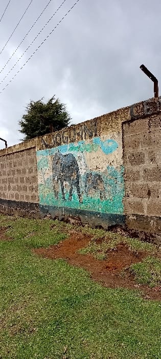 The scene depicts a weathered concrete block wall in Gatakaine, Kenya, under an overcast sky. The wall, constructed from grey concrete blocks, features a central, deteriorated mural. This mural depicts a large, dark grey elephant standing, facing left, with a smaller elephant calf partially visible behind it, facing right. The mural's background consists of faded light blue representing sky and patchy green representing ground. Above the mural, faint, illegible white text is visible on the discolored wall. The upper section of the wall shows exposed concrete and crumbling, rust-stained plaster. Two dark, bent metal brackets protrude from the top edge of the wall, one on the left and one on the right. Overhead, several utility lines traverse the grey, cloudy sky in the upper left quadrant. A dense, dark green tree is visible above the wall to the left. The ground in the foreground is covered with green grass interspersed with patches of reddish-brown soil. No individuals or live animals are present.