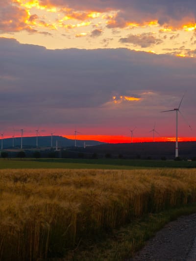 This image captures a dramatic sunset over a rural landscape in Lügde, Germany, likely near a wind farm. The sky is ablaze with vibrant colors, transitioning from bright orange and yellow clouds at the top to a deep, fiery red band just above the horizon. This intense red glow illuminates the silhouettes of numerous wind turbines positioned on a rolling hill in the middle ground. The wind turbines are white with visible blades, some appearing to be in motion. Below the hills, a field of ripe, golden grain stretches across the foreground, its stalks swaying gently. A narrow, gravelly path runs along the right edge of the frame, bordering the field. The overall impression is one of natural beauty and renewable energy coexisting.