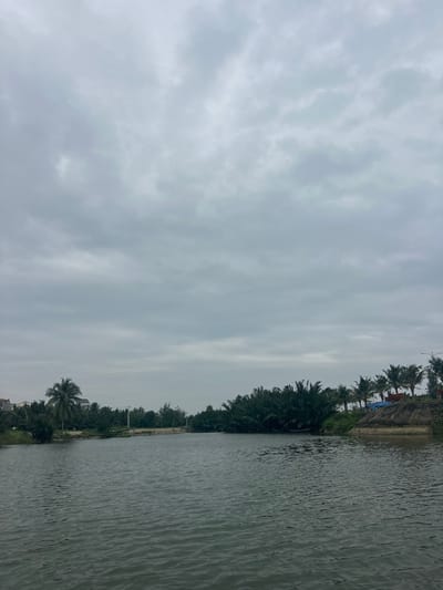 A body of water occupies the right half of the frame, its surface reflecting the overcast sky. A dense line of trees, including palms, runs along the water's edge, separating it from a gray sky filled with layered clouds. A structure with blue tarps is visible behind the trees in the upper right corner. The overall impression is one of tranquility despite the gloomy weather.