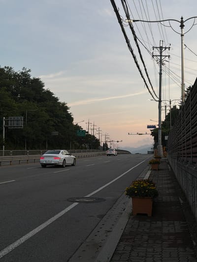 The image depicts a street scene in Pocheon-si, South Korea. A white sedan is driving on a multi-lane road, with lush green trees lining the left side of the road and a grey, textured wall bordering the right side. Overhead, a complex network of power lines and utility poles crisscrosses the sky, with streetlights visible along the poles. In the distance, mountains are faintly visible under a pale, hazy sky, suggesting either early morning or late afternoon. Several planters with yellow flowers are placed along the sidewalk on the right. Traffic signs are present, including one that appears to indicate directions to Pocheon-si. The road surface is asphalt with white lane markings.